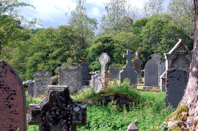 Photograph of graves