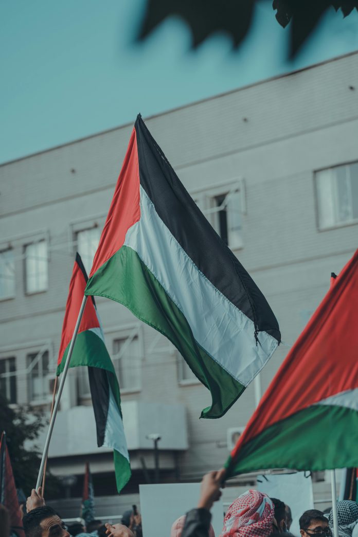 Palestinian Flags
