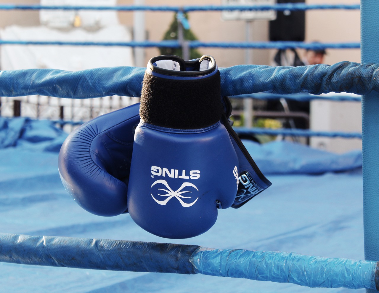 Boxing gloves Boxing gloves hanging over the side of the boxing ring.