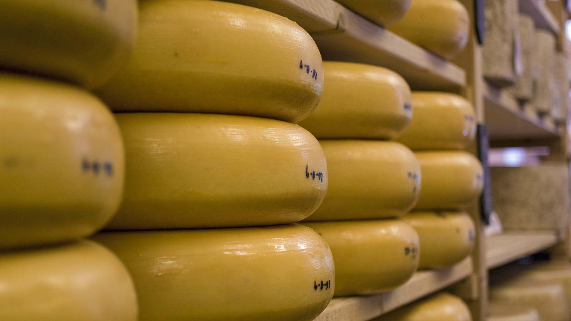 Cheeses by Omid Tavallai via Flickr