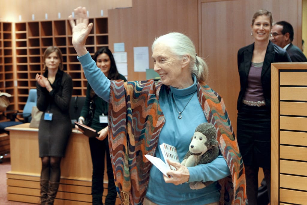 Jane goodall Jane Goodall smile and wave.