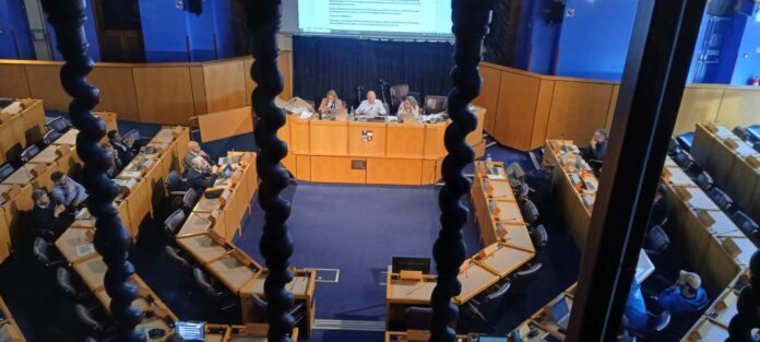 University Senate in session (Photo: Fred Byrne)