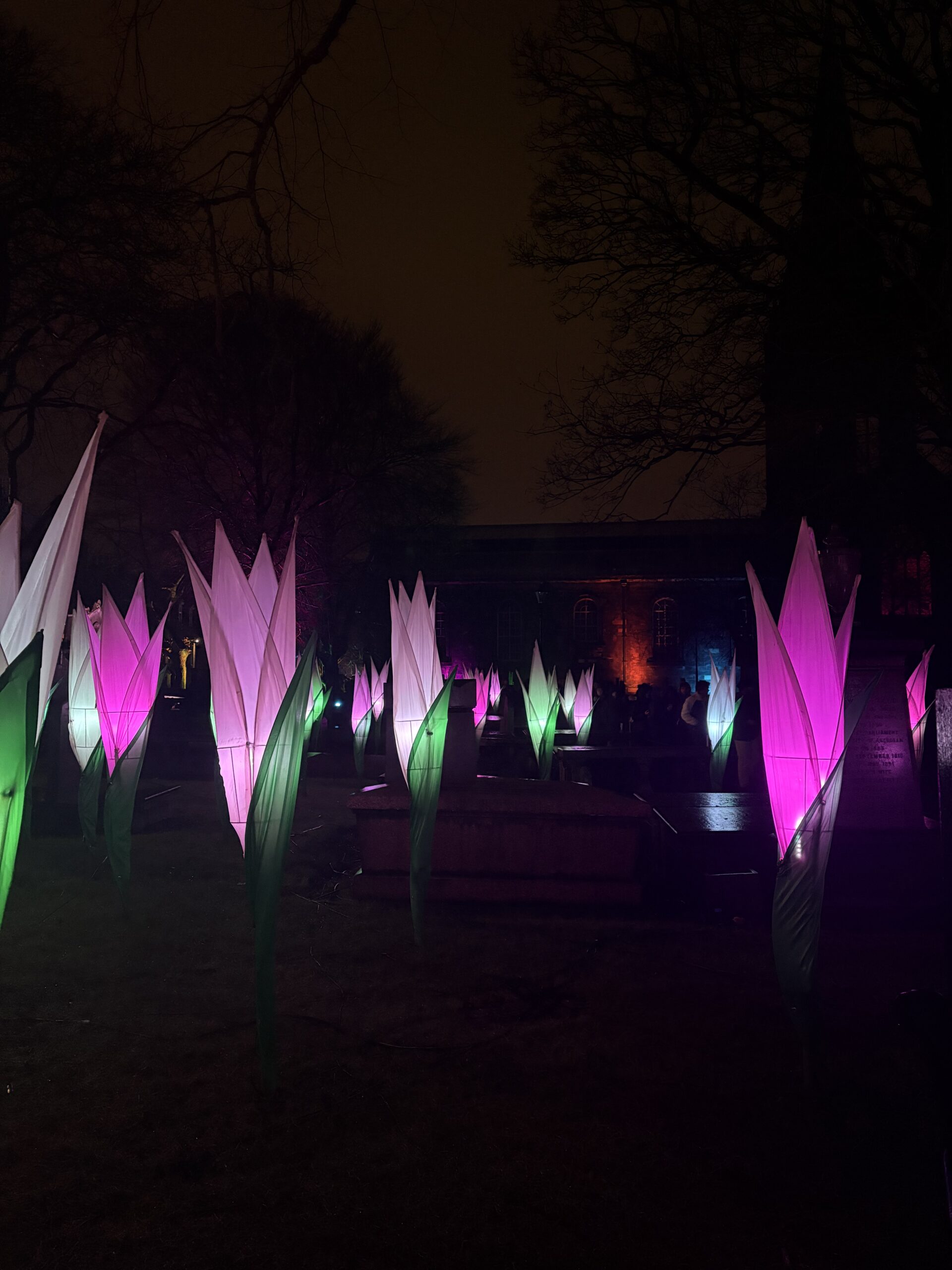 Flower Field, SPECTRA 2026 | Photo by Emily Reid