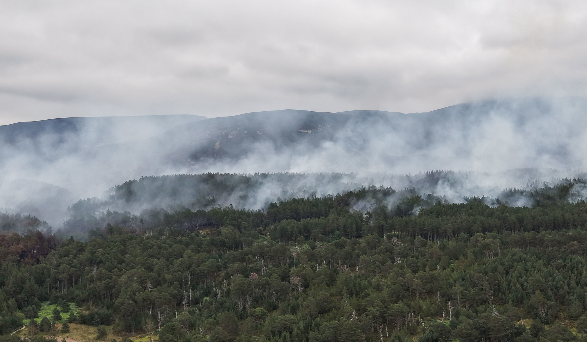 Cairngorms Wildfire